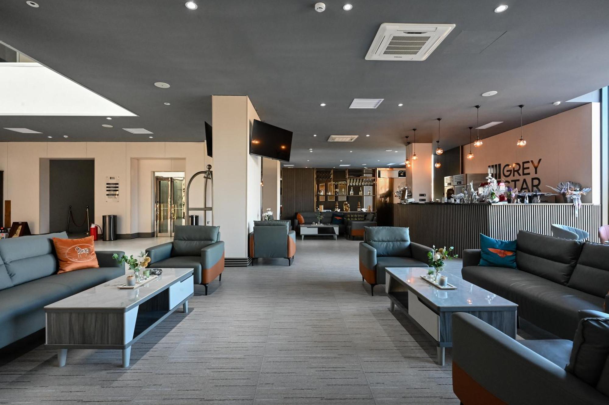 Grey Star Hotel Negotino  Extérieur photo